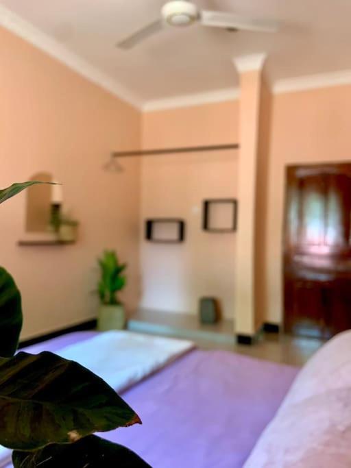Bungalow X Garten & Terrasse X Wlan X Europaeisch Moshi Ngoại thất bức ảnh
