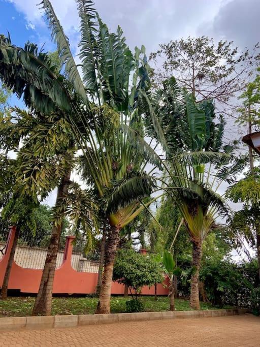Bungalow X Garten & Terrasse X Wlan X Europaeisch Moshi Ngoại thất bức ảnh